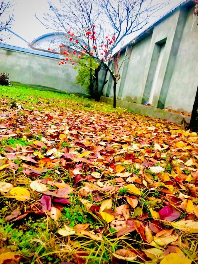 Emirest Villa Gabala Buitenkant foto