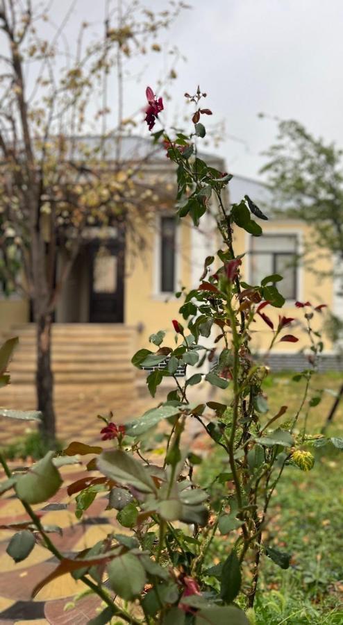 Emirest Villa Gabala Buitenkant foto