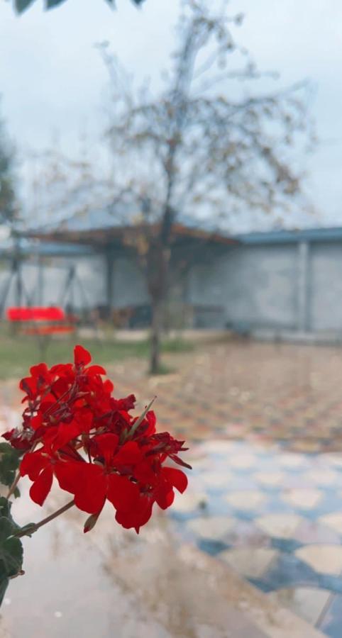 Emirest Villa Gabala Buitenkant foto